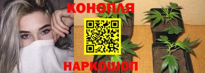 СК Анжеро-Судженск