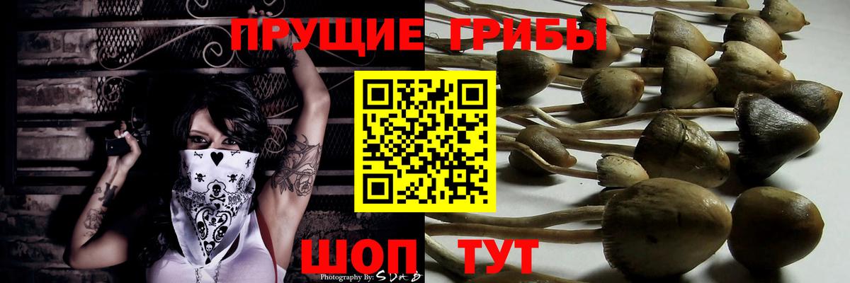 Галлюциногенные грибы прущие грибы  Вход с VPN  Братск  Галлюциногенные грибы Magic Shrooms 